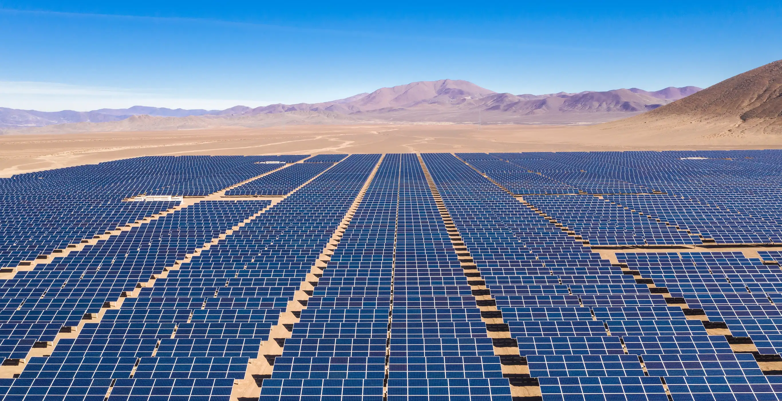 EDF Trading The wholesale energy market specialist
