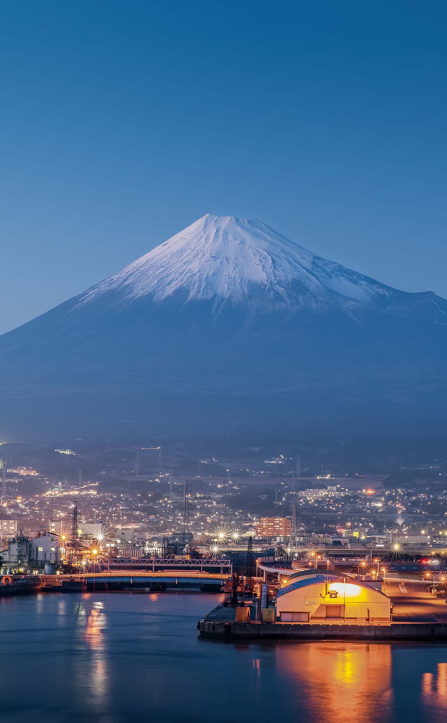EDF Trading The wholesale energy market specialist